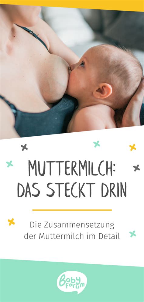 Muttermilch wichtigsten Inhaltstoffe für Babys Ernährung