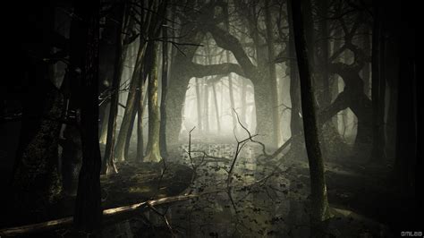 Foggy Forest Wallpaper (74+ images)