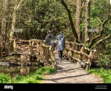 Deux Femmes Sur Un Sentier Forestier Banque De Photographies Et D