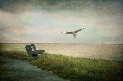 Waiting on a Friend Photograph by Fran J Scott - Fine Art America