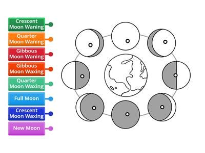 Moon phases diagram riley - Teaching resources