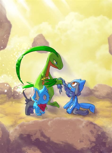 Riolu Shinx And Grovyle Pokemon And 2 More Drawn By Tsuyuki Rune