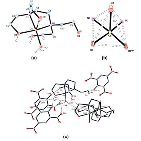 A Ortep Diagram Of The Complex 1 Showing The Atom Labeling Scheme Download Scientific