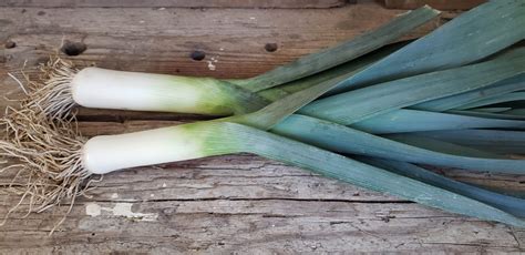 For The Love Of Leeks Pfennings Organic Farms