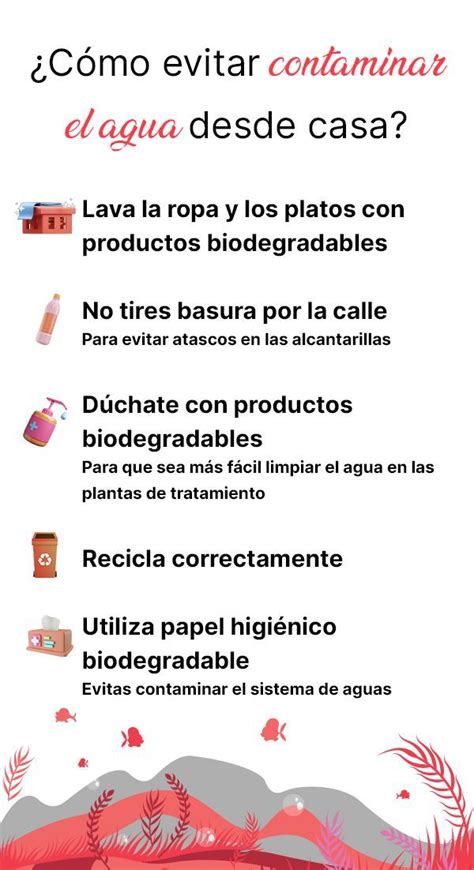 Cómo evitamos contaminar el agua desde casa Contaminantes