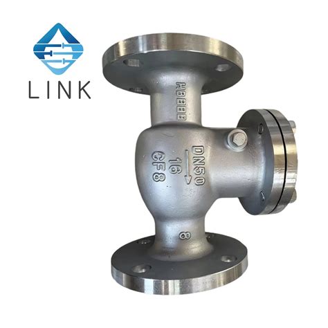 Stainless Steel SS304 Swing Check Valve Pn16 Pn25 Pn40 Pn63 Pn100