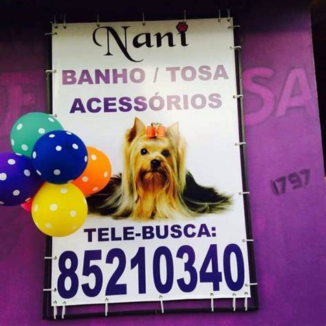 Banho E Tosa Em Canoas - Nani Banho & Tosa | Canoas RS