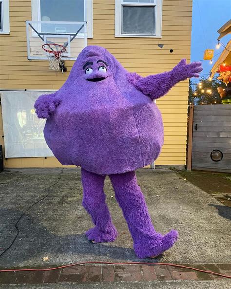 A little late to post, but here's my Grimace costume : r/halloween