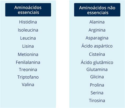 Aminoácidos Essenciais Funções E Benefícios Para O Corpo Aminoácidos Neurociencia E