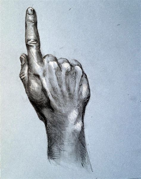 Does this look right? I'm practicing hand Anatomy : r/ArtCrit