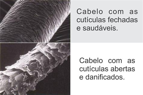 Quantos Fios De Cabelo Tem O Ser Humano - Estrutura Do Fio De Cabelo - RETOEDU