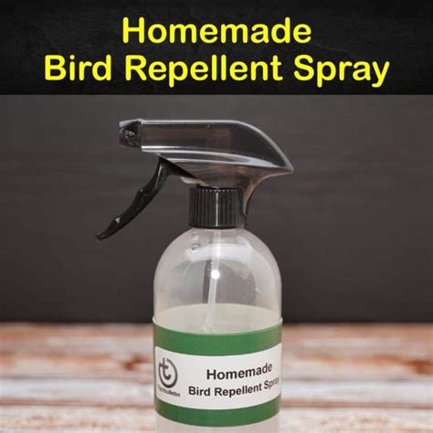 Homemade Liquid Goose Repellent Homemade Ftempo