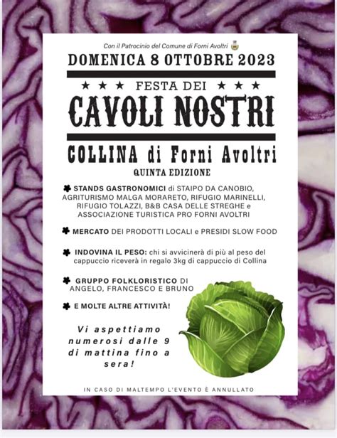 Collina Di Forni Avoltri Ud Festa Dei Cavoli Nostri Sagre In