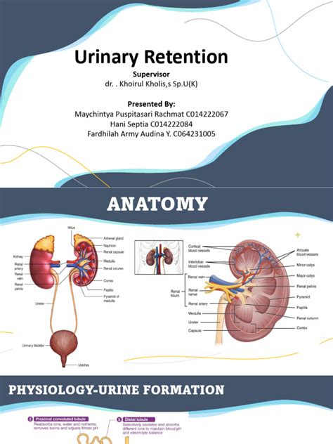 urinary rentention  urination urinary incontinence