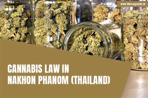 Cannabis Law In Nakhon Phanom Thailand