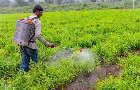 Leading Agrochemicals Manufacturers In India In 2024 Pesticides For