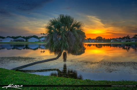 Sunset Lake With Palm Tree Palm Beach Gardens Florida HDR Photography