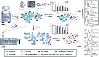 Dynamics Of Rapid Starch Gelatinization And Total Phenolic