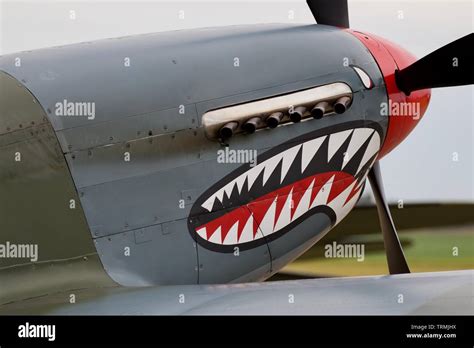 P 51 mustang shark mouth hi-res stock photography and images - Alamy