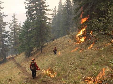 Evacuation Orders Alerts Expanded Near Wildfire Burning In Okanagan