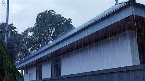 The Sound Of Natural Rain On The Roof Helps You Fall Asleep Rain