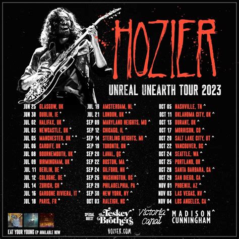 Hozier 2024 Concert Schedule Harley Bernette