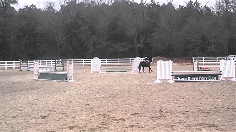 Abby Novice Jumpers Epps 3 16 14 YouTube