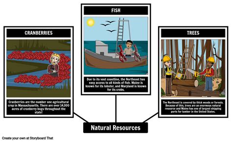 Northeast Natural Resources Storyboard By Lauren