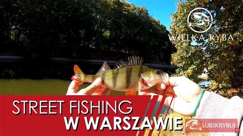 Street fishing w Warszawie Okonie w mieście YouTube