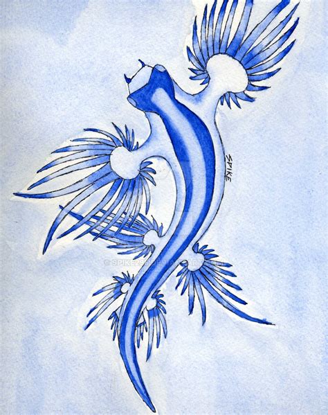 Blue Glaucus by SPIKE295 on DeviantArt