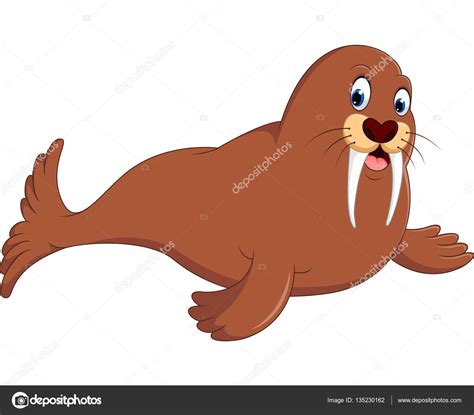 Cute walrus cartoon Stock Vector Image by ©hermandesign2015@gmail.com ...