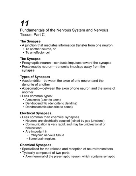 Fundamentals Of The Nervous System And Nervous Tissue Part C