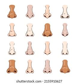 Different Human Noses Cartoon Illustration Set Stock Vector Royalty