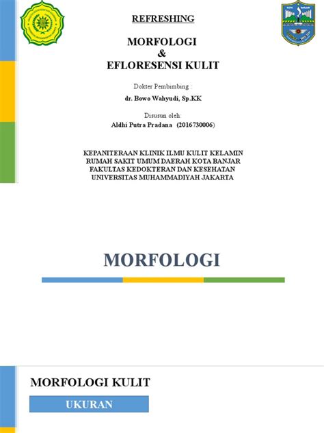 Morfologi And Efloresensi Kulit Pdf