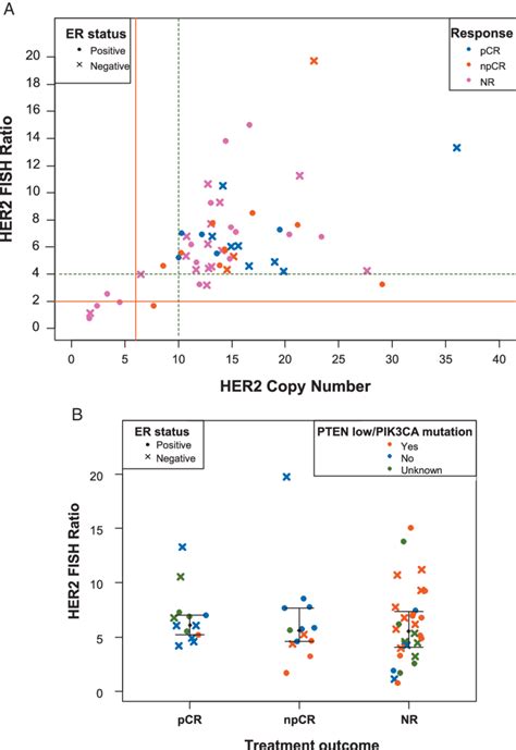 A Correlation Between Her2 Copy Number Cn And Gene Expression Ratio