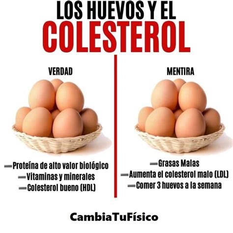 Los Huevos Y El Colesterol CambiaTuFisico Blog