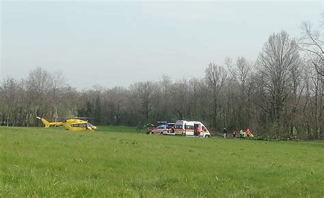 Tragico Infortunio Sul Lavoro Crolla Un Albero E Muore Un 64enne