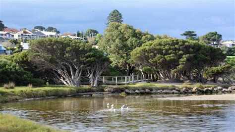 The Hindmarsh River Walking Trail - Victor Harbor, Attraction | S...