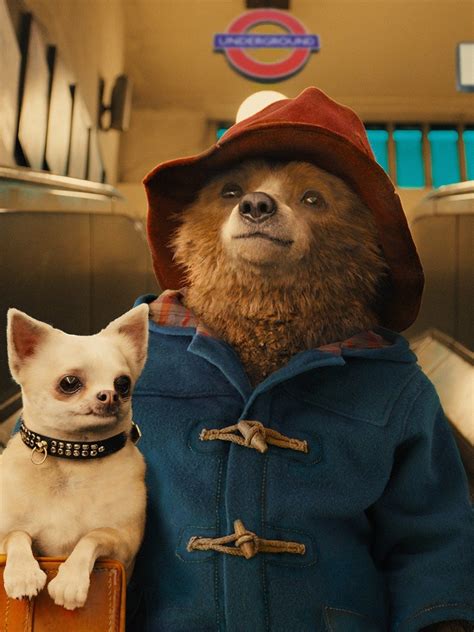 Paddington: Teaser Trailer 1 - Trailers & Videos - Rotten Tomatoes