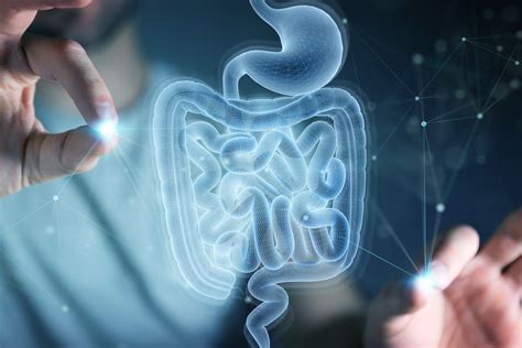 Microbiota intestinale che cos è e come prendersene cura