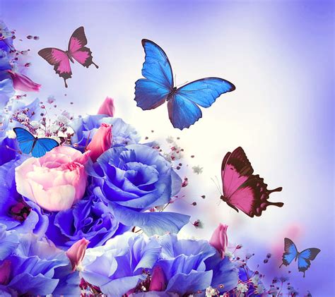 Floral Butterflies Blue Butterfly Flowers Pink Rose Spring HD