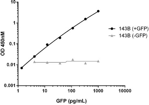 GFP ELISA Kit (ab171581) | Abcam