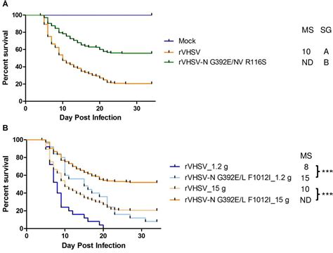 Frontiers The Viral Hemorrhagic Septicemia Virus VHSV Markers Of