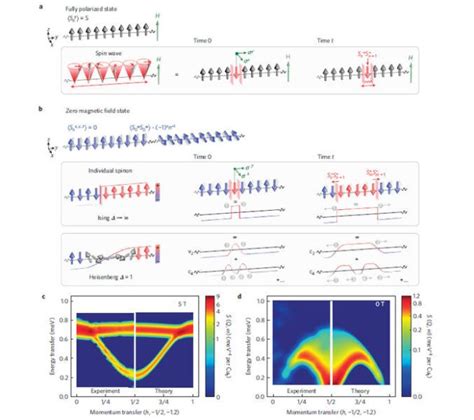 Penetrating the quantum nature of magnetism / Neutronsources