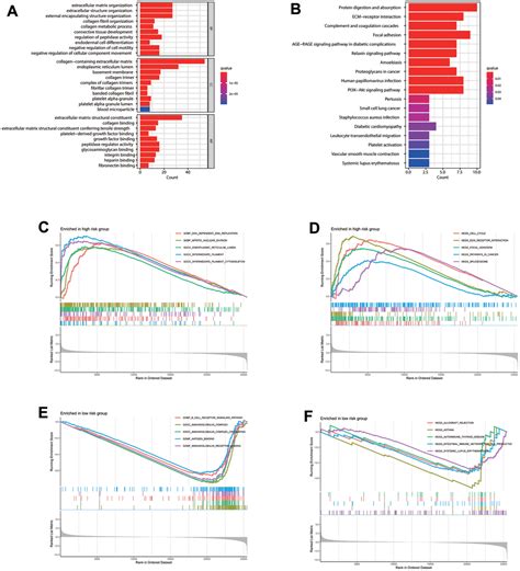 Prognostic Analysis Of Lung Adenocarcinoma Based On Cancer Associated