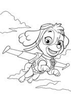 Cartoon Skye Paw Patrol Coloring Page Turkau