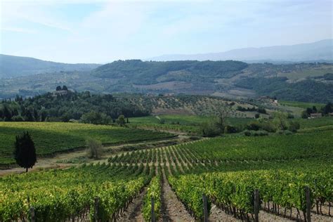 Avventure Bellissime | Wine Tours in Tuscany