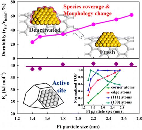 Mechanistic Insight Into Size Dependent Activity And Durability In Pt