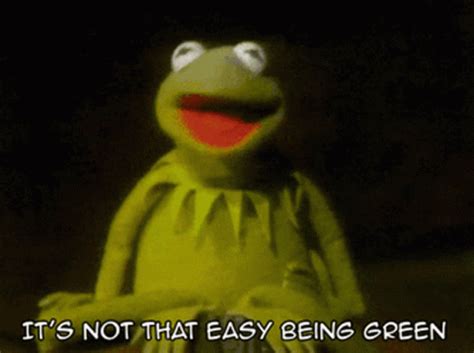 Kermit Its Not Easy Being Green Gifs Tenor