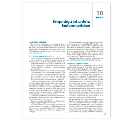 Fundamentos De Neurolog A Semiolog A Cl Nica Y Fisiopatolog A Ergon